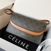 CELINE 2024 new handbag #B34800