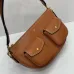 Celine Triomphe Shoulder Bag with Multiple Pockets #B45647