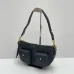 Celine Triomphe Shoulder Bag with Multiple Pockets #B45647