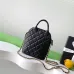 Chanel Clutches with Chain - Small Leather Goods size:18×7×6cm #B54021