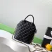 Chanel Clutches with Chain - Small Leather Goods size:18×7×6cm #B54021
