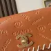 New CHANEL Vintage Resin Leather Chain Bag with Large Logo bag two size #B60911