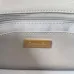 CHANEL Diana Lamb Matelasse Chain Shoulder Bag size:13×21×6cm #B53984