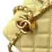 Chanel Quilted Caviar Leather Mini Vanity Bag With Gold Chain Strap And CC Logo size:9×17×8cm #B54336