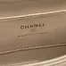 Chanel Small Flap Bag #B49926