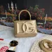 D&G High Quality Handbag Size:13.5×17.5×6.5cm #B47765
