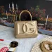 D&G High Quality Handbag Size:13.5×17.5×6.5cm #B47765