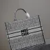 Christian Dior Stripes book tote AAA+ bags #B42290