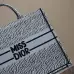 Christian Dior Stripes book tote AAA+ bags #B42291