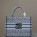 Christian Dior Stripes book tote AAA+ bags #B42291