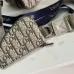 DIOR CHRISTIAN DIOR Oblique Saddle Triple Pouch  size:23×17×4cm #B54055