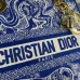 Dior Handbags Dioriviera Medium Lady D-Lite Bag size:24×20×11cm #B53656