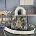 Dior Handbags Dioriviera Medium Lady D-Lite Bag size:24×20×11cm #B53657