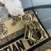 Dior Handbags Lady D-Lite CHRISTIAN DIOR PARIS size:17×15×7cm #B53653