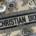 Dior Handbags Lady D-Lite CHRISTIAN DIOR PARIS size:17×15×7cm #B53653