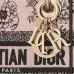 Dior Handbags Lady D-Lite CHRISTIAN DIOR PARIS size:17×15×7cm #B53653