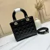 Dior Lady Handbags Black/Wine/Red/White #B57275