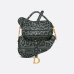 Dior Saddle Bag 1:1 Original Quality 25cm #999935103