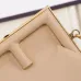 Fendi Women's Clutch Bags  Classic Frame Design in Multiple Colors with Luxe Leather for Fashion Connoisseurs top quality #B56269