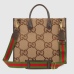 Brand Gucci AAA+Handbags #99916209