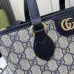 GUCCI Ophidia mini  tote bag size:20×18×10cm #B53639