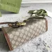 Gucci AAA+Handbags #99922712