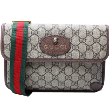 GUCCI Supreme Neo Web Belt Brown   #B65579