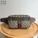 Stylish Gucci Waist Pack Featuring GG Logo #B45641