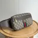 Stylish Gucci Waist Pack Featuring GG Logo #B45641