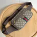 Stylish Gucci Waist Pack Featuring GG Logo #B45641