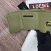 LOEWE new style  cards and money wallet #B34806