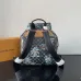 Louis Vuitton Backpack MONTSOURIS CARGO Damier Palm Trees ww size:34×40×17cm #B53316