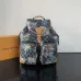 Louis Vuitton Backpack MONTSOURIS CARGO Damier Palm Trees ww size:34×40×17cm #B53316