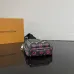 Louis Vuitton Multicolor Bags for Men #B50881
