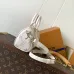 LV Handbags  Nano Speedy M25591 #B55986