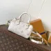 LV Handbags  Nano Speedy M25591 #B55986