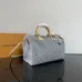 Louis Vuitton Handbag Speedy Soft 30  #B50884