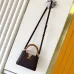 Louis Vuitton Handbags Capucine #B51546