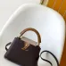 Louis Vuitton Handbags Capucine #B51546