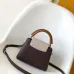 Louis Vuitton Handbags Capucine #B51546
