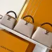 Louis Vuitton Handbags Capucine #B51546