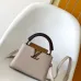 Louis Vuitton Handbags Capucine #B51546