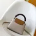 Louis Vuitton Handbags Capucine #B51546