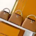 Louis Vuitton Handbags Capucine #B51546