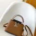 Louis Vuitton Handbags Capucine #B51546