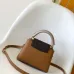Louis Vuitton Handbags Capucine #B51546
