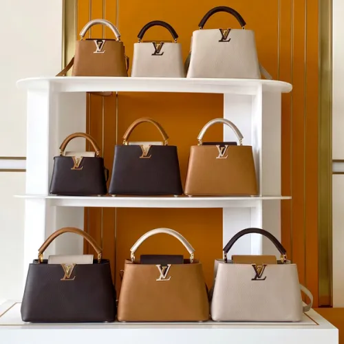 Louis Vuitton Handbags Capucine #B51546