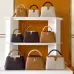 Louis Vuitton Handbags Capucine #B51546