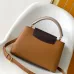 Louis Vuitton Handbags Capucines Taurillon #B51108