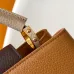 Louis Vuitton Handbags Capucines Taurillon #B51108